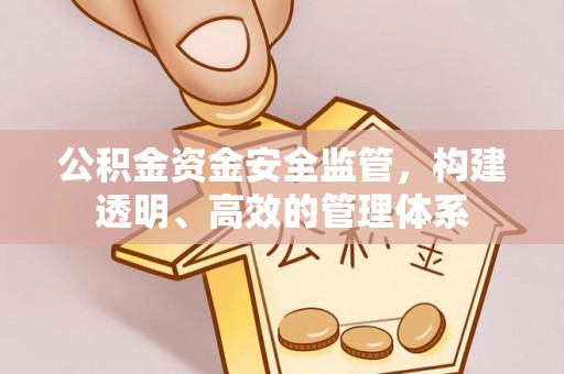 防城公积金资金安全监管，构建透明、高效的管理体系